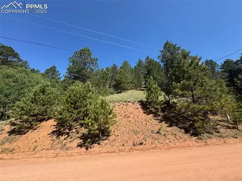 281 Pikes Peak Dr, Divide, CO 80814 photo 2