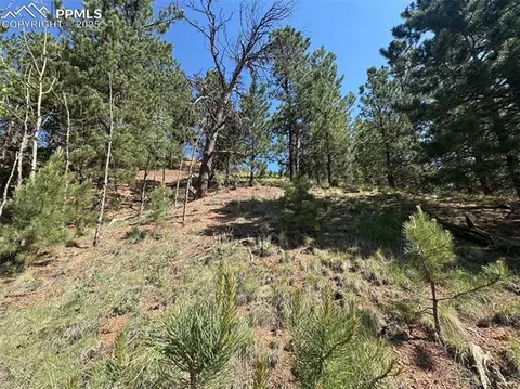 281 Pikes Peak Dr, Divide, CO 80814 photo 8