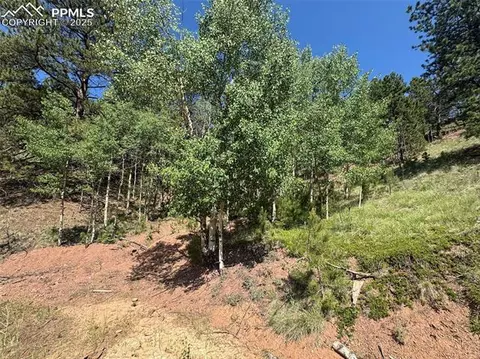 281 Pikes Peak Dr, Divide, CO 80814 photo 4