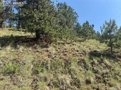 281 Pikes Peak Dr, Divide, CO 80814 photo 6