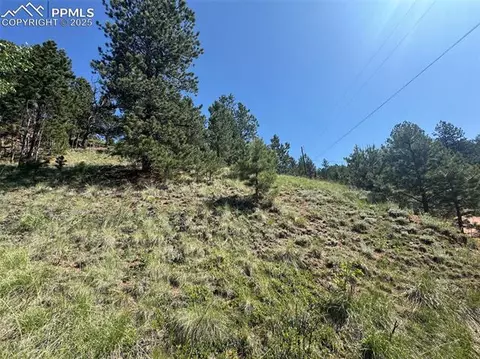 281 Pikes Peak Dr, Divide, CO 80814 photo 9
