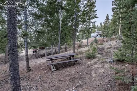 9538 Fallen Rock Rd, Conifer, CO 80433 photo 22