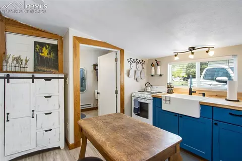 244 Washington St, Monument, CO 80132 photo 27