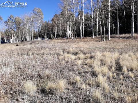 61 Will Stutley Dr, Divide, CO 80814 photo 3