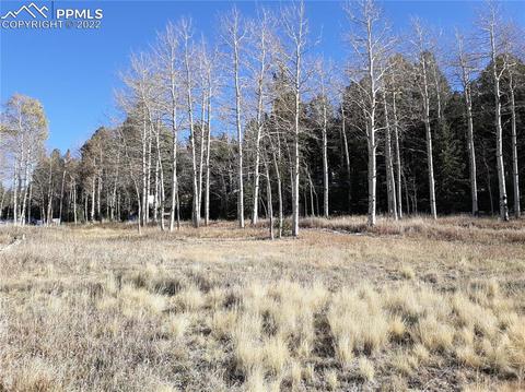 61 Will Stutley Dr, Divide, CO 80814 photo 2