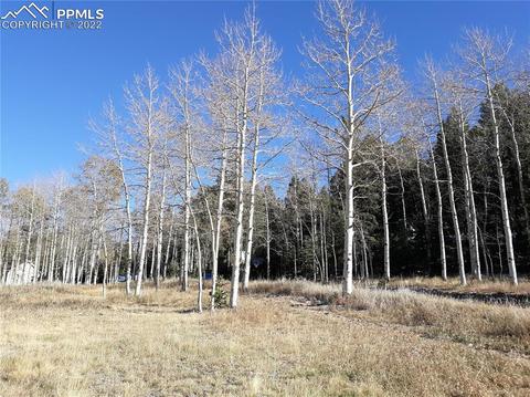 61 Will Stutley Dr, Divide, CO 80814 photo 1