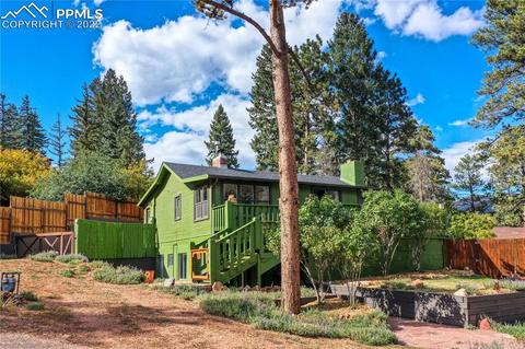 9130 Picabo Rd, Cascade, CO 80809 photo 43
