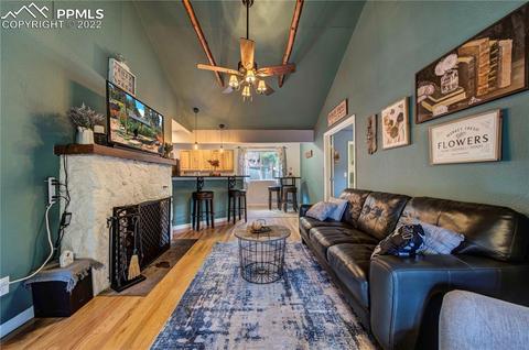 9130 Picabo Rd, Cascade, CO 80809 photo 3