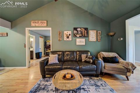 9130 Picabo Rd, Cascade, CO 80809 photo 5
