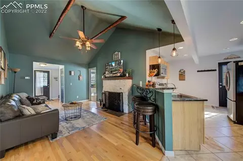 9130 Picabo Rd, Cascade, CO 80809 photo 2