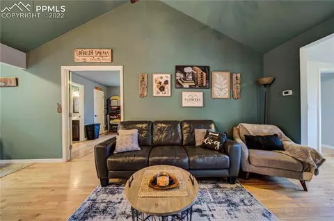 9130 Picabo Rd, Cascade, CO 80809 photo 3