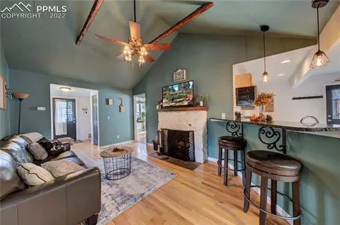 9130 Picabo Rd, Cascade, CO 80809 photo 5
