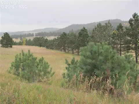 350 Pine Bluff Dr, Divide, CO 80814 photo 20