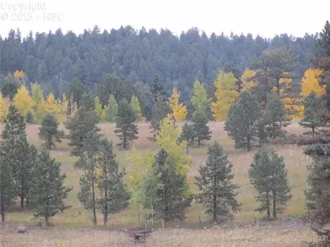 350 Pine Bluff Dr, Divide, CO 80814 photo 9