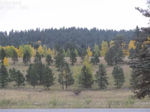 350 Pine Bluff Dr, Divide, CO 80814 photo 3