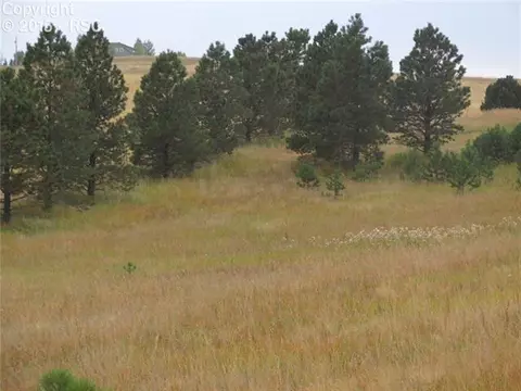 350 Pine Bluff Dr, Divide, CO 80814 photo 13