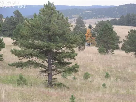 350 Pine Bluff Dr, Divide, CO 80814 photo 17