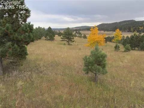 350 Pine Bluff Dr, Divide, CO 80814 photo 14