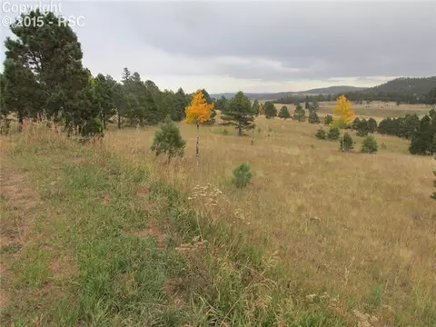 350 Pine Bluff Dr, Divide, CO 80814 photo 16