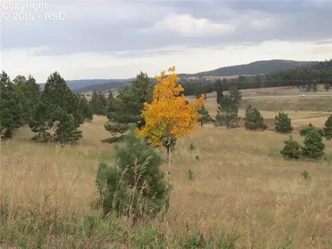 350 Pine Bluff Dr, Divide, CO 80814 photo 10
