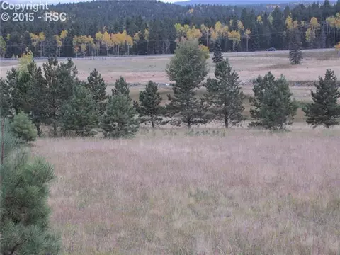 350 Pine Bluff Dr, Divide, CO 80814 photo 15