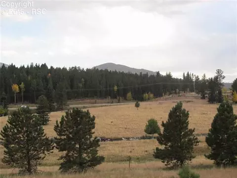 350 Pine Bluff Dr, Divide, CO 80814 photo 12