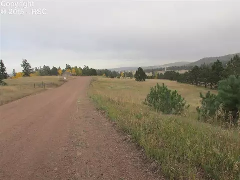 350 Pine Bluff Dr, Divide, CO 80814 photo 21