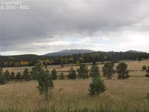 350 Pine Bluff Dr, Divide, CO 80814 photo 4
