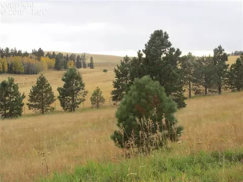 350 Pine Bluff Dr, Divide, CO 80814 photo 5