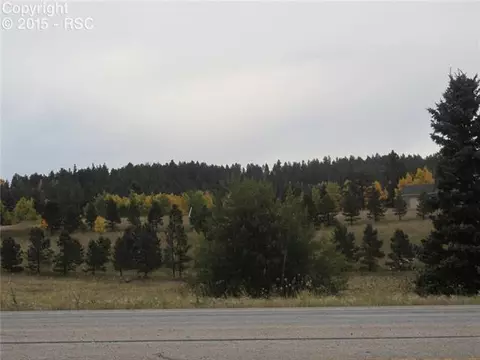 350 Pine Bluff Dr, Divide, CO 80814 photo 7