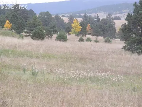 350 Pine Bluff Dr, Divide, CO 80814 photo 18