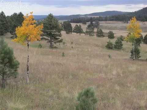 350 Pine Bluff Dr, Divide, CO 80814 photo 11