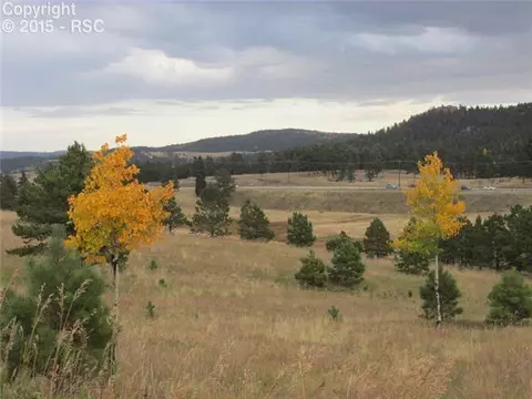 350 Pine Bluff Dr, Divide, CO 80814 photo 6