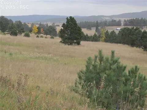 350 Pine Bluff Dr, Divide, CO 80814 photo 19