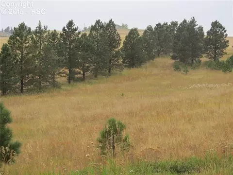 350 Pine Bluff Dr, Divide, CO 80814 photo 8