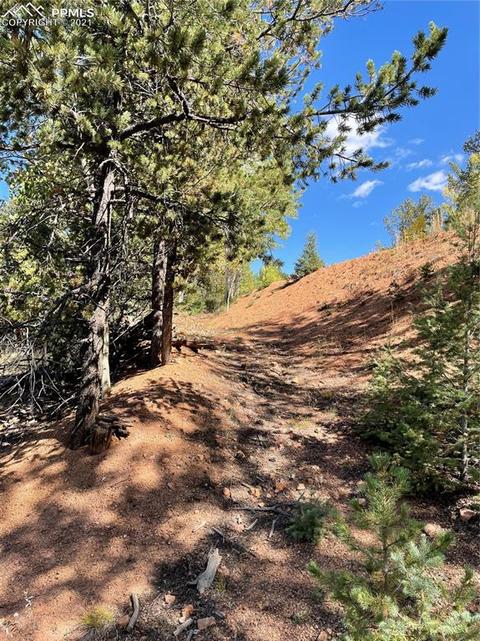 803 Calcite Dr, Divide, CO 80814 photo 4