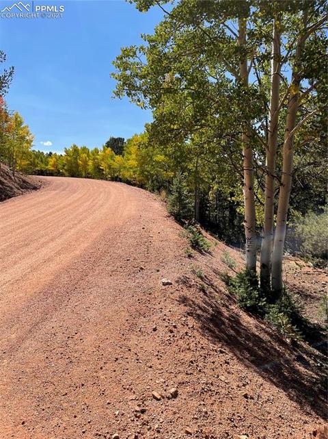 803 Calcite Dr, Divide, CO 80814 photo 3