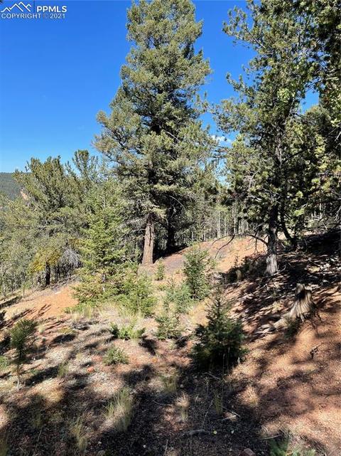 803 Calcite Dr, Divide, CO 80814 photo 1