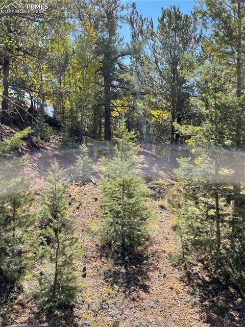 803 Calcite Dr, Divide, CO 80814 photo 6