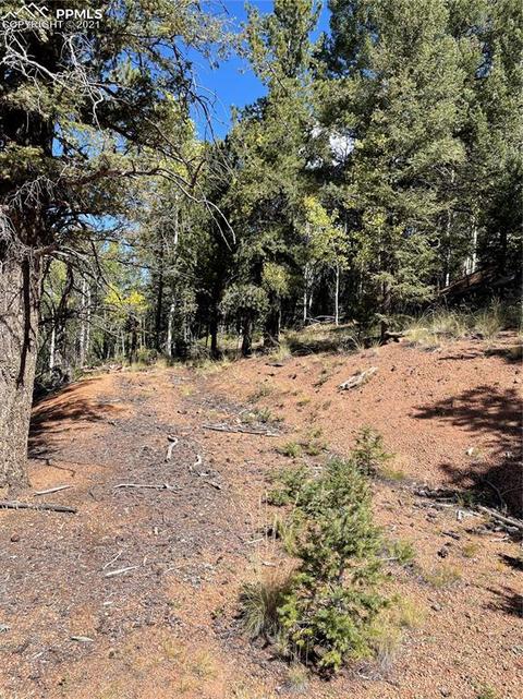 803 Calcite Dr, Divide, CO 80814 photo 5
