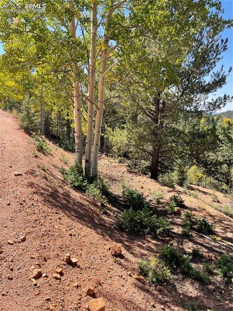 803 Calcite Dr, Divide, CO 80814 photo 2