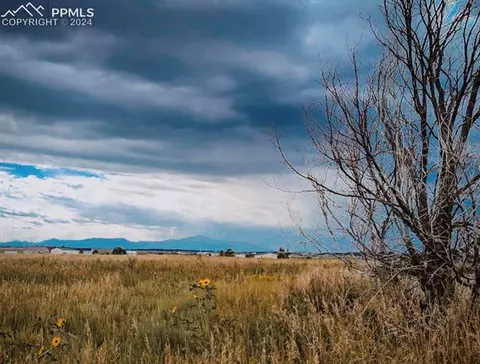 15915 Willie Ln, Peyton, CO 80831 photo 4