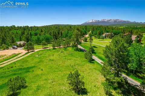 225 Rutgers Pl, Woodland Park, CO 80863