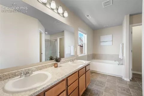 Bath - 7704 Cruzer Hts, Peyton, CO 80831 photo 4 of 4