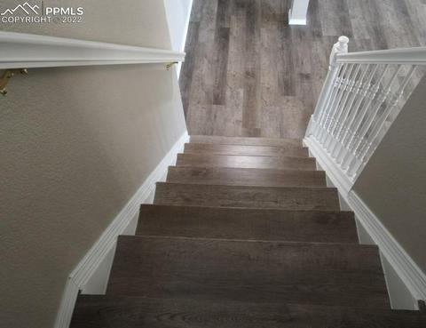 541 Larimer Creek Dr, Monument, CO 80132 photo 24