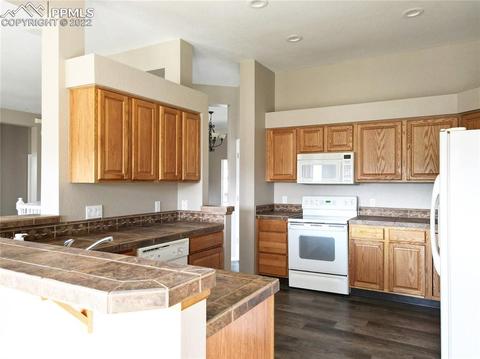 541 Larimer Creek Dr, Monument, CO 80132 photo 17