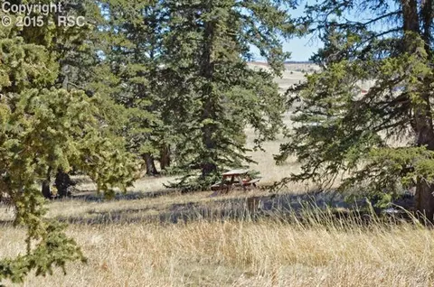 4839 County Road 42 Na Na, Divide, CO 80814 photo 19