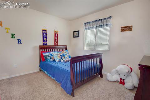 12315 Sleeping Bear Rd, Peyton, CO 80831 photo 22