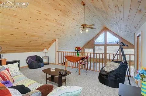 35 Tyndall Rd, Silver Cliff, CO 81252 photo 20