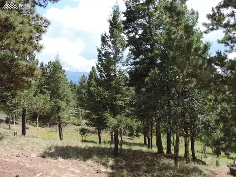 320 Spring Valley Dr, Divide, CO 80814 photo 1